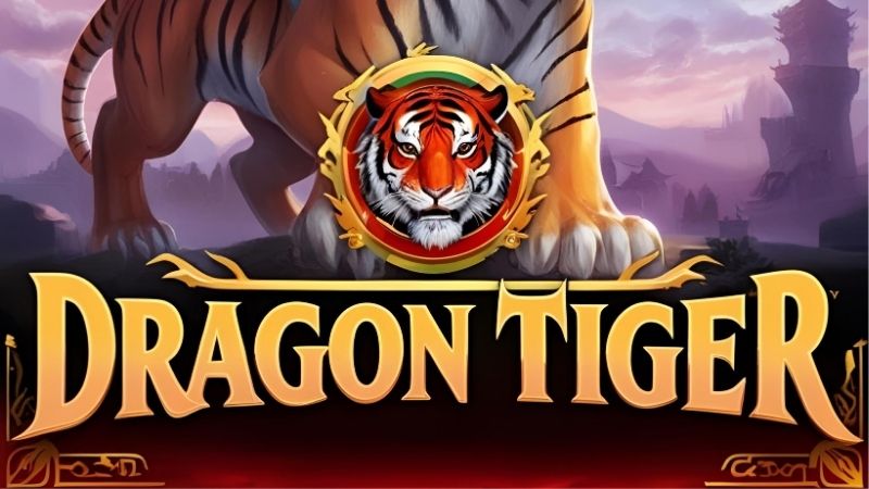 Cách Chơi Bài Rồng Hổ - Hướng Dẫn Từ A - Z Cho Tân Binh